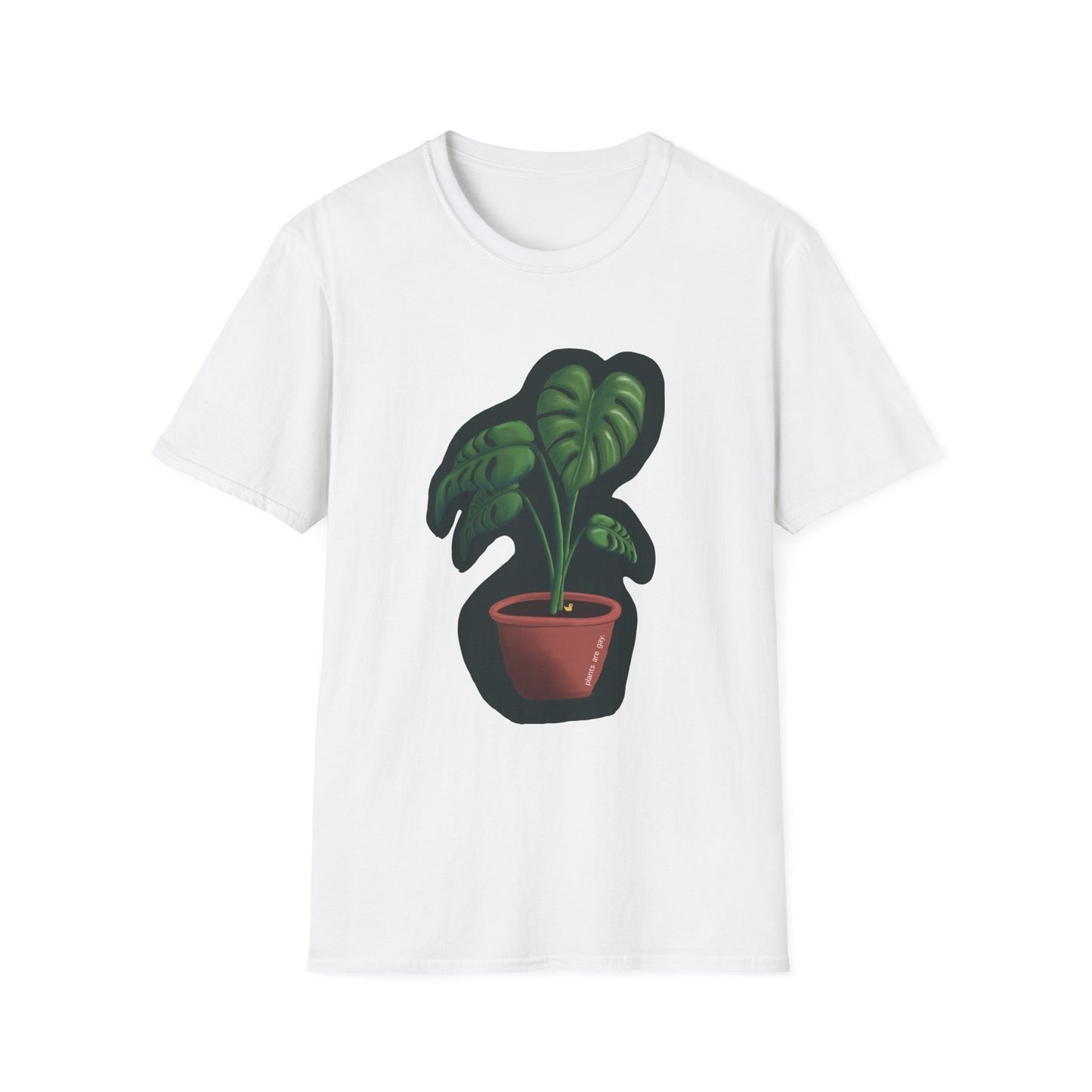 Monstera