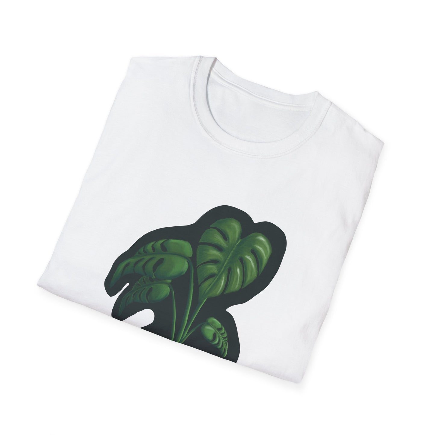 Monstera